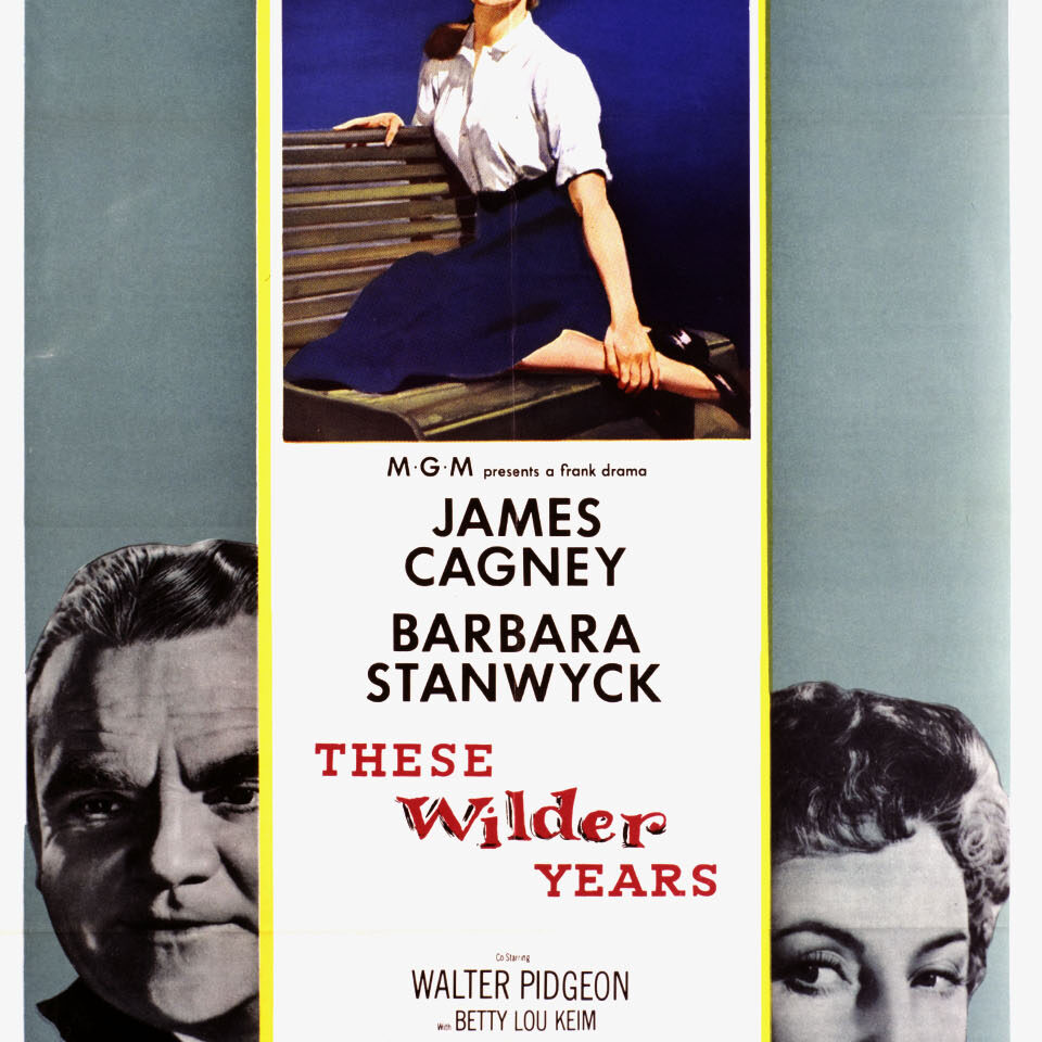 WILDER